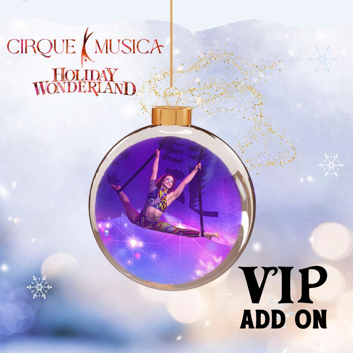 Cirque Musica Holiday Wonderland: VIP Add On